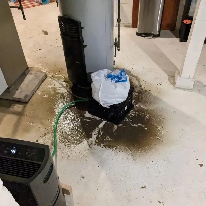 Sewage Backup Cleanup Service in Daleville, AL